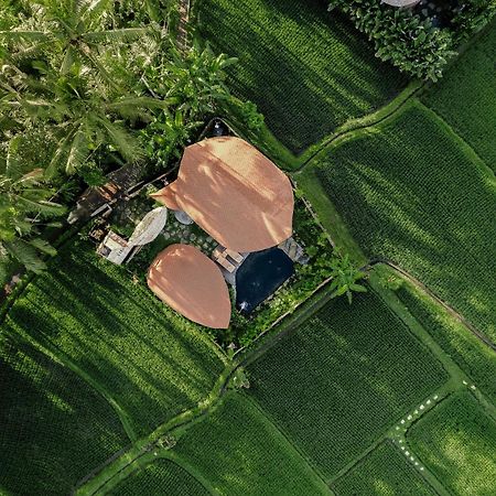 Arapan Ubud Eco Villa Exteriör bild