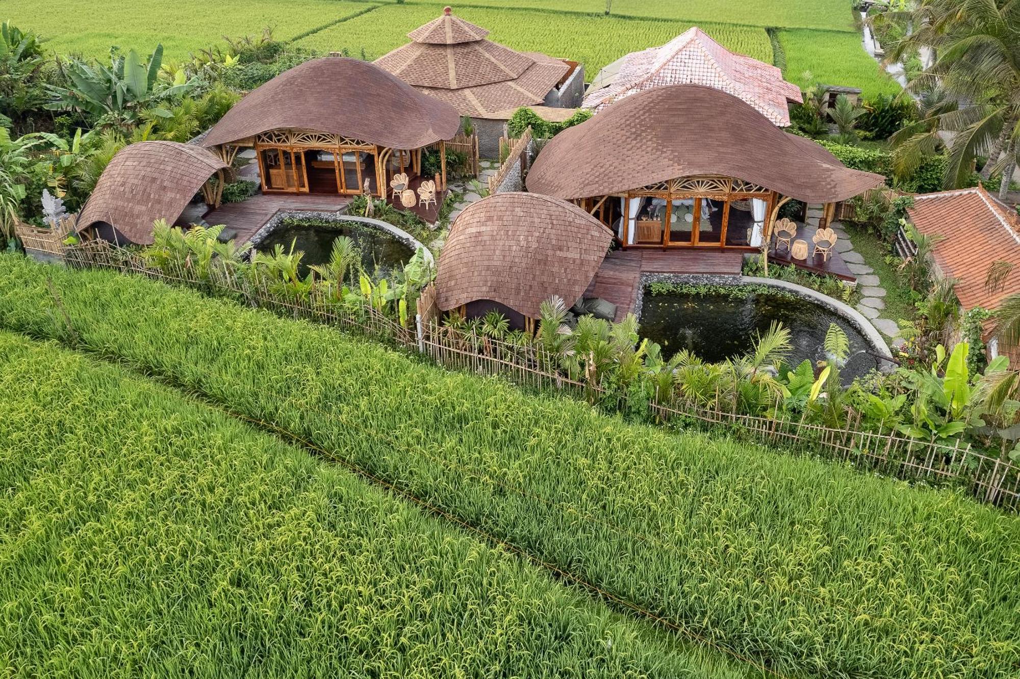 Arapan Ubud Eco Villa Exteriör bild