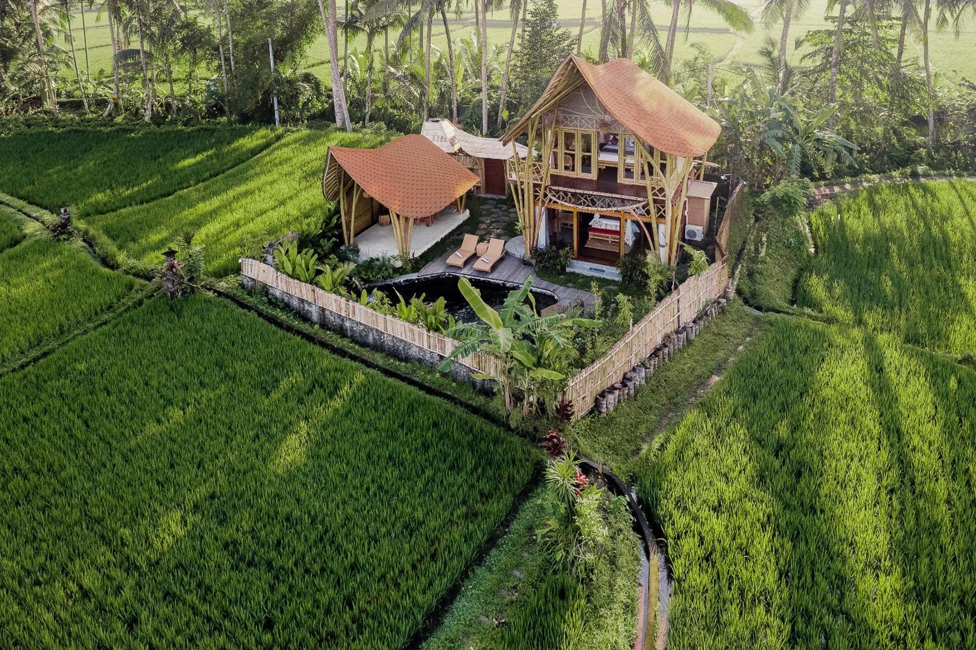 Arapan Ubud Eco Villa Exteriör bild