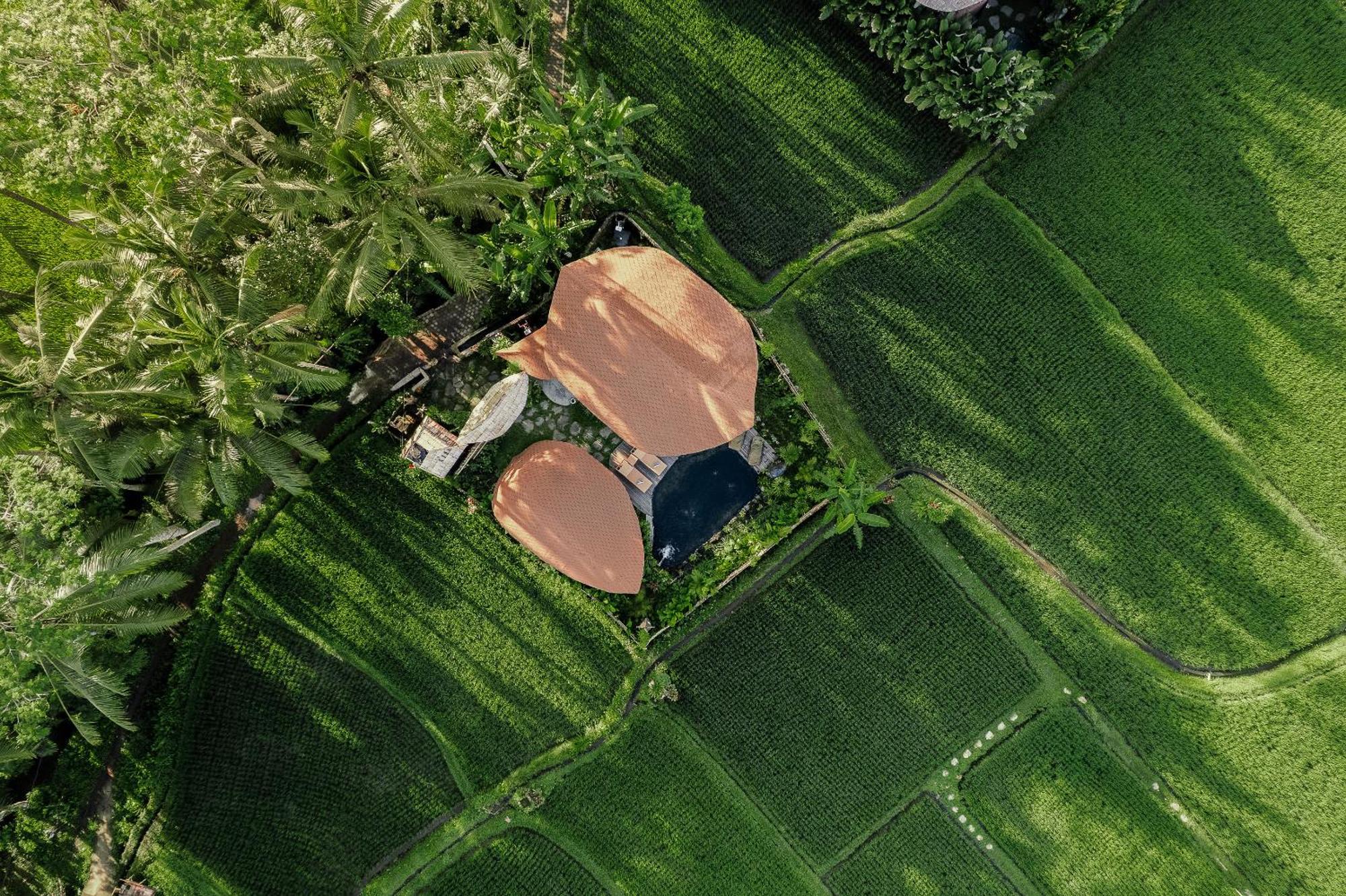 Arapan Ubud Eco Villa Exteriör bild